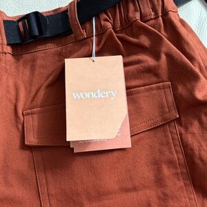 Wondery Isabel 3.0 Outdoor Hiking Pants in Rust / Terracotta size L Tall
